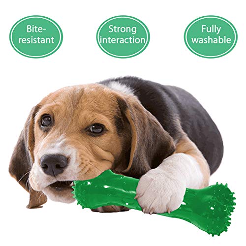 **Creation Core Squeaky Dog Chew Toy - Durable Bite-Resistant Pet Training Treat Toy for Teeth Cleaning & Exercise - Green Chew Stick for Small & Medium Dogs - Perfect for Playtime & Dental Health**