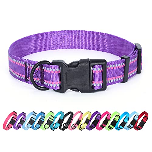 Self-Luminescence Purple
