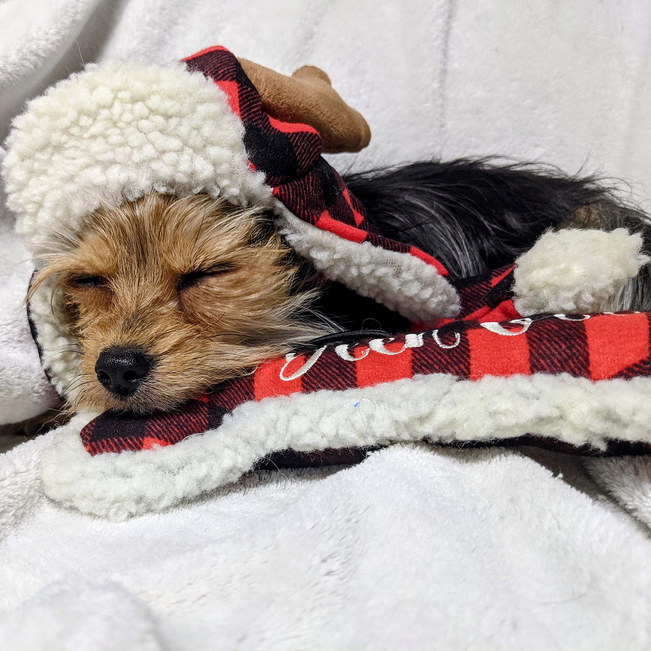 Huxley & Kent Squeaky Dog Toy - I've Been Good Bone (Small) | Funny Christmas Holiday Plush Toy for Dogs with Squeaker | Durable & Fun Pet Gift for Playtime, Training & Holiday Celebrations