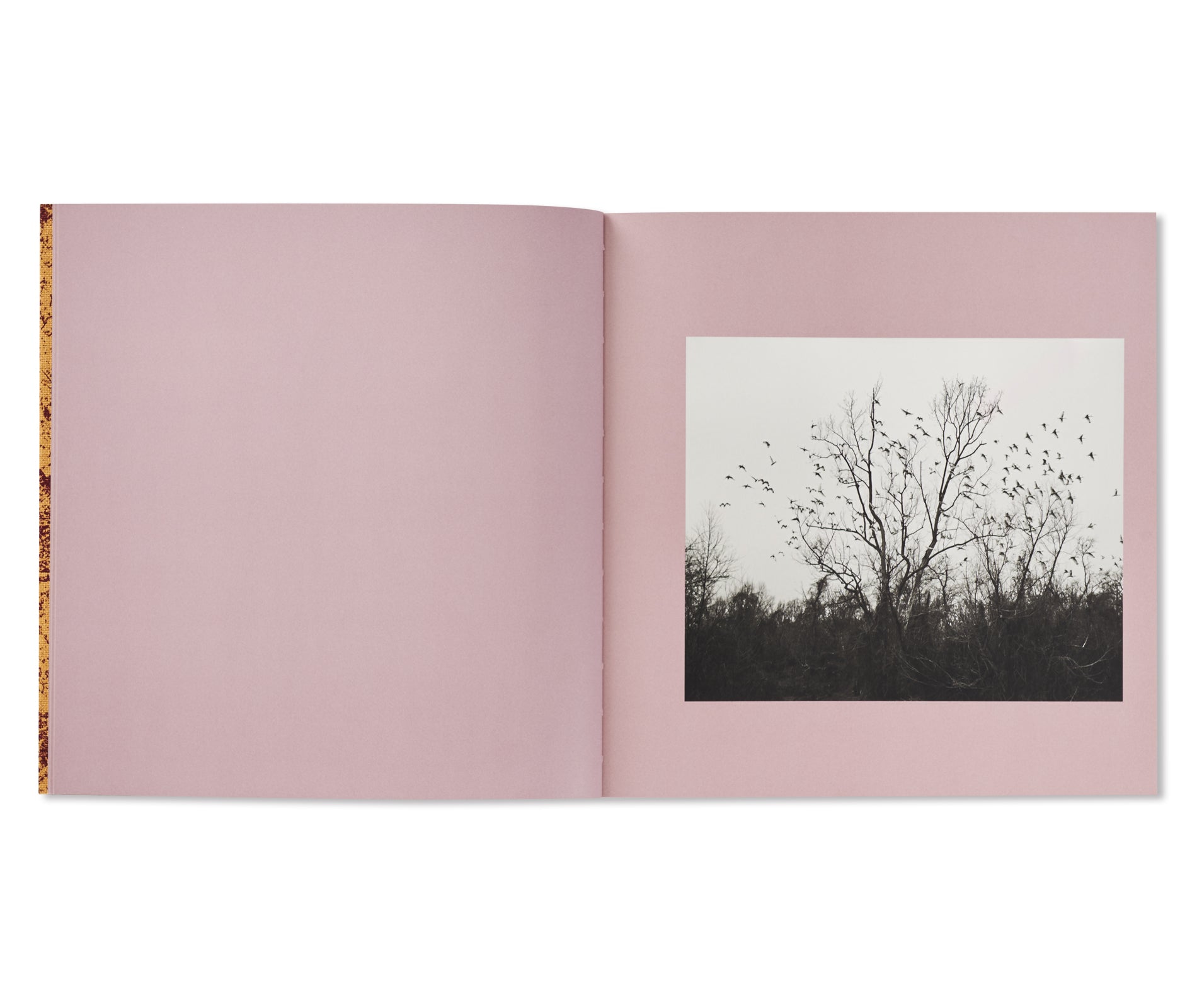 AND TIME FOLDS by Vanessa Winship - Signed Photography Book - Perfect for Art Collectors & Photography Enthusiasts
