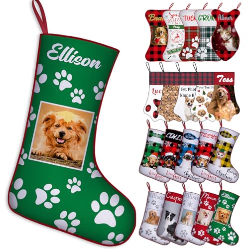 Photo Dog Paw_green