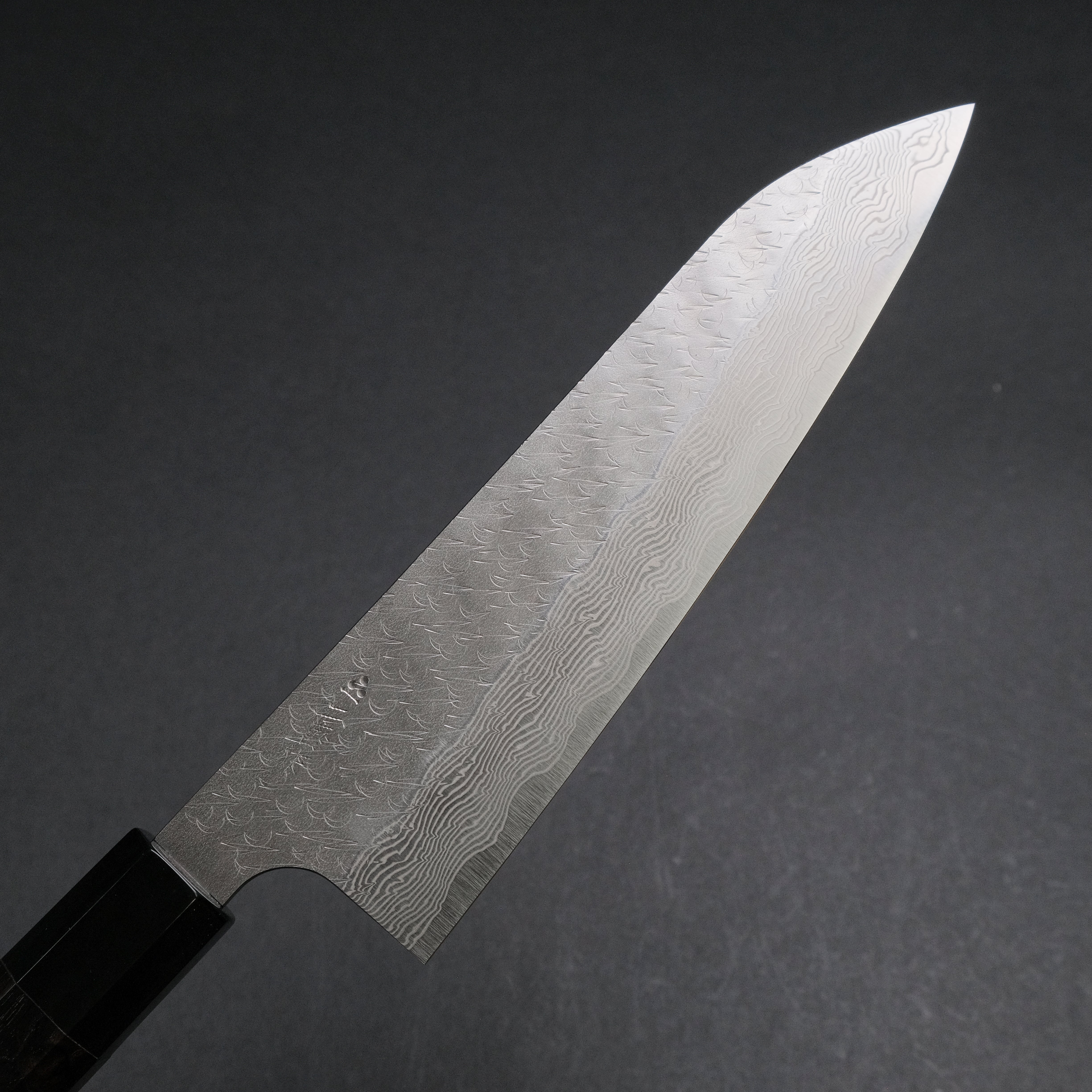 Nigara SG STRIX Gyuto 210mm Japanese Chef Knife with Premium Ebony Handle - Perfect for Sushi, Meat Cutting & Professional Kitchen Use