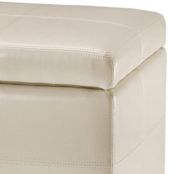 Safavieh Hudson Collection Williamsburg Brown Leather Large Storage Bench - Stylish Entryway Bench with Ample Storage for Shoes & Blankets - Perfect for Living Room, Bedroom or Hallway Organization