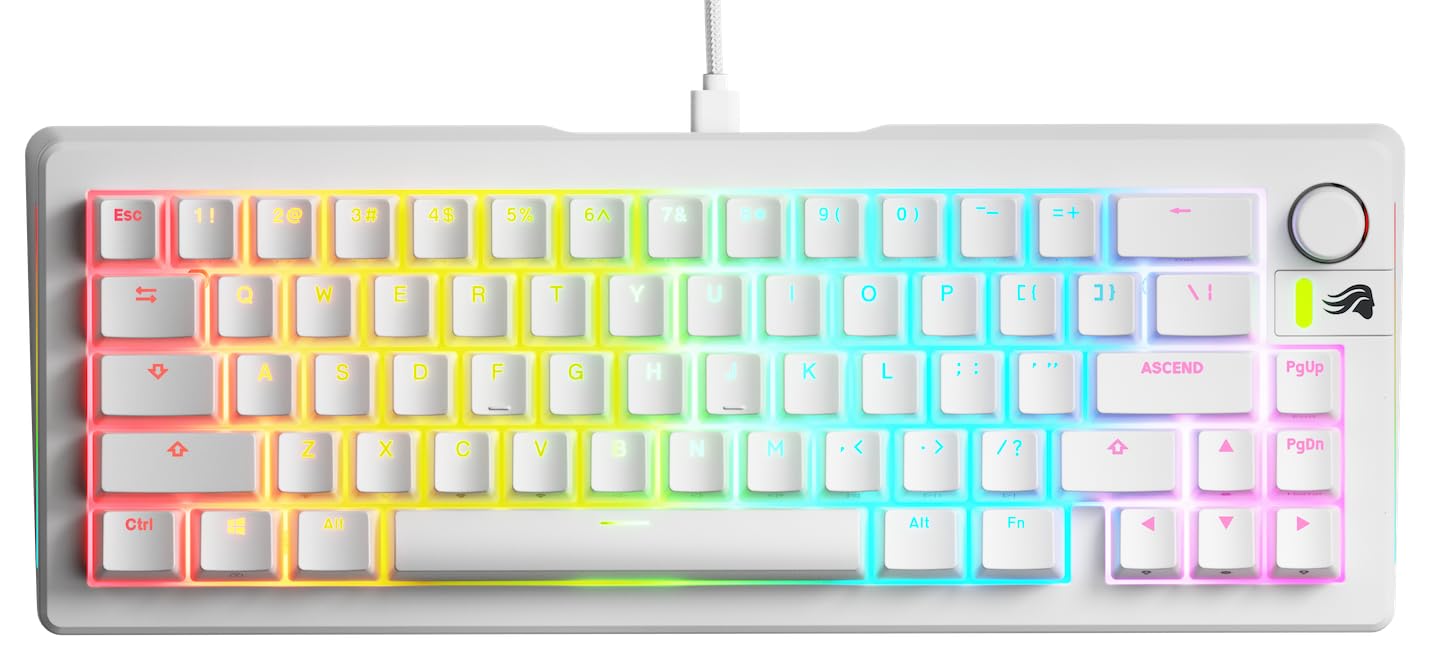 Glorious GMMK 3 Customizable 65% Compact Mechanical Gaming Keyboard - Hot Swappable 3/5 Pin Switches, Modular Gaskets, Doubleshot PBT Keycaps, Aluminum Plate - US QWERTY Layout (White) - Perfect for Esports, Streaming & Office Work
