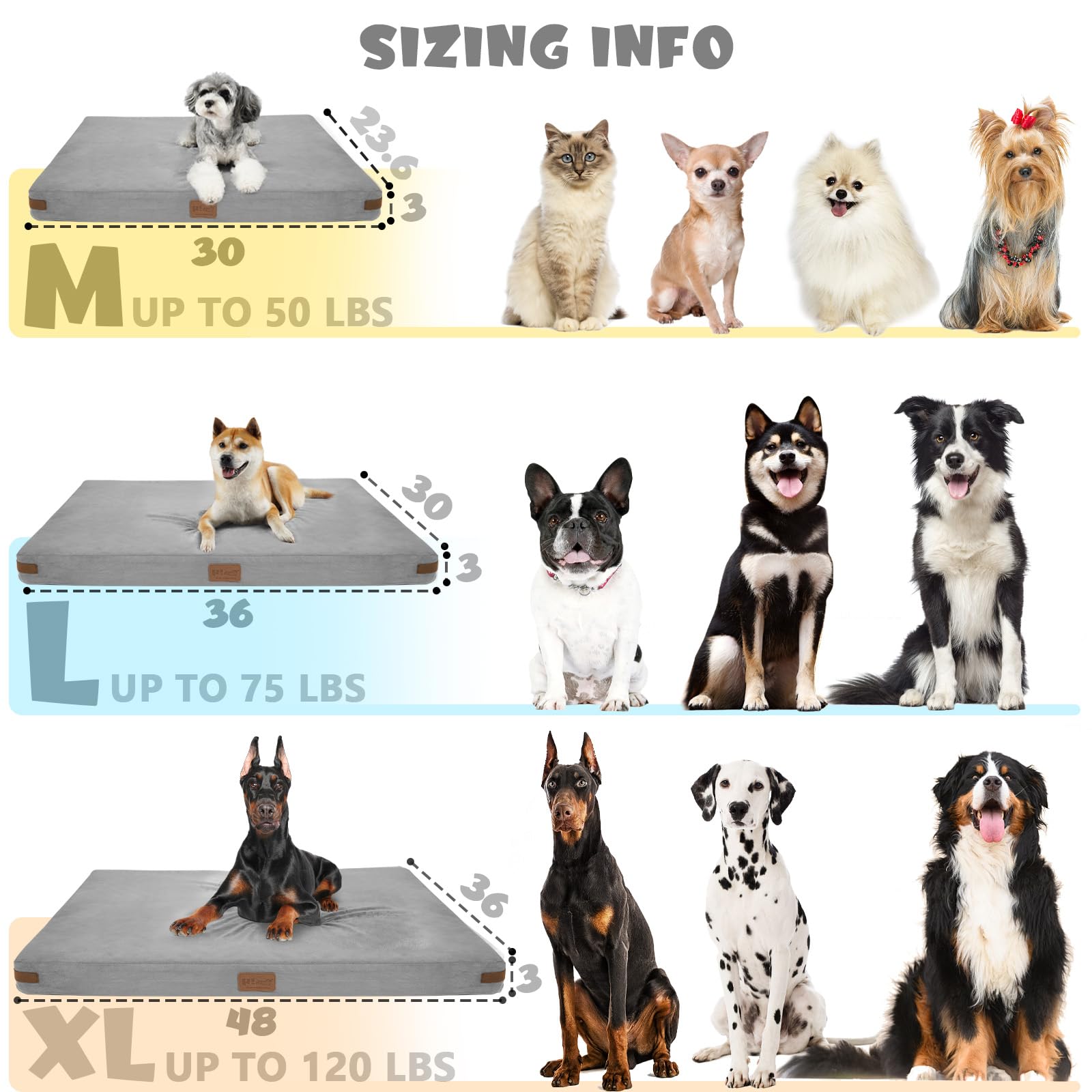 Orthopedic Memory Foam Dog Bed for Medium Dogs - Washable Removable Cover & Non-Slip Bottom - Grey Pet Bed with Soft Blanket - Perfect for Arthritis Support, Crate Training, and Home Comfort