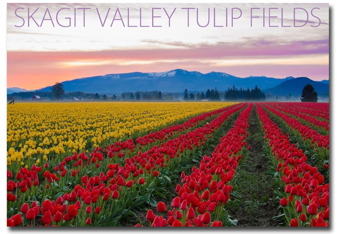 Washington Skagit Valley Tulip Fields Souvenir Refrigerator Magnet 2.5