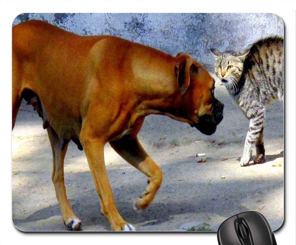 Funny Cat & Dog Mouse Pad - 'Okay, I'll Quit!' Gaming & Office Desk Accessory for Computer Lovers - Perfect for Work, Gaming & Home Office Setup