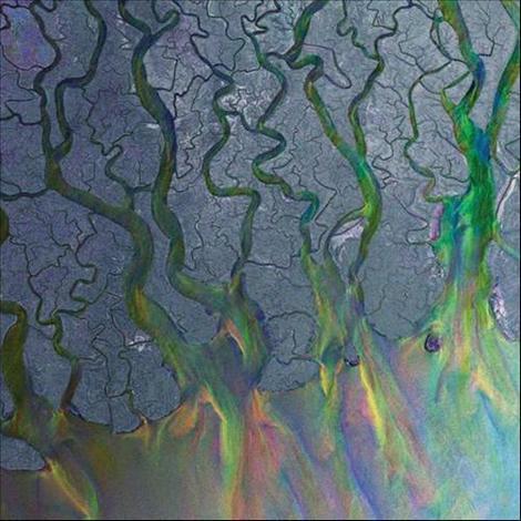 Alt J - An Awesome Wave Vinyl Record | Indie Rock Album | Perfect for Home Listening & Music Collectors | Great Gift for Music Lovers
