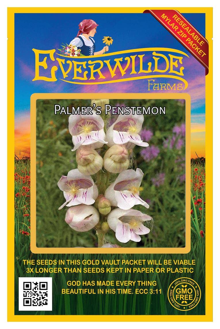 Everwilde Farms - 2000 Palmer's Penstemon Native Wildflower Seeds - Gold Vault Jumbo Seed Packet for Pollinator Gardens, Landscaping & Xeriscaping