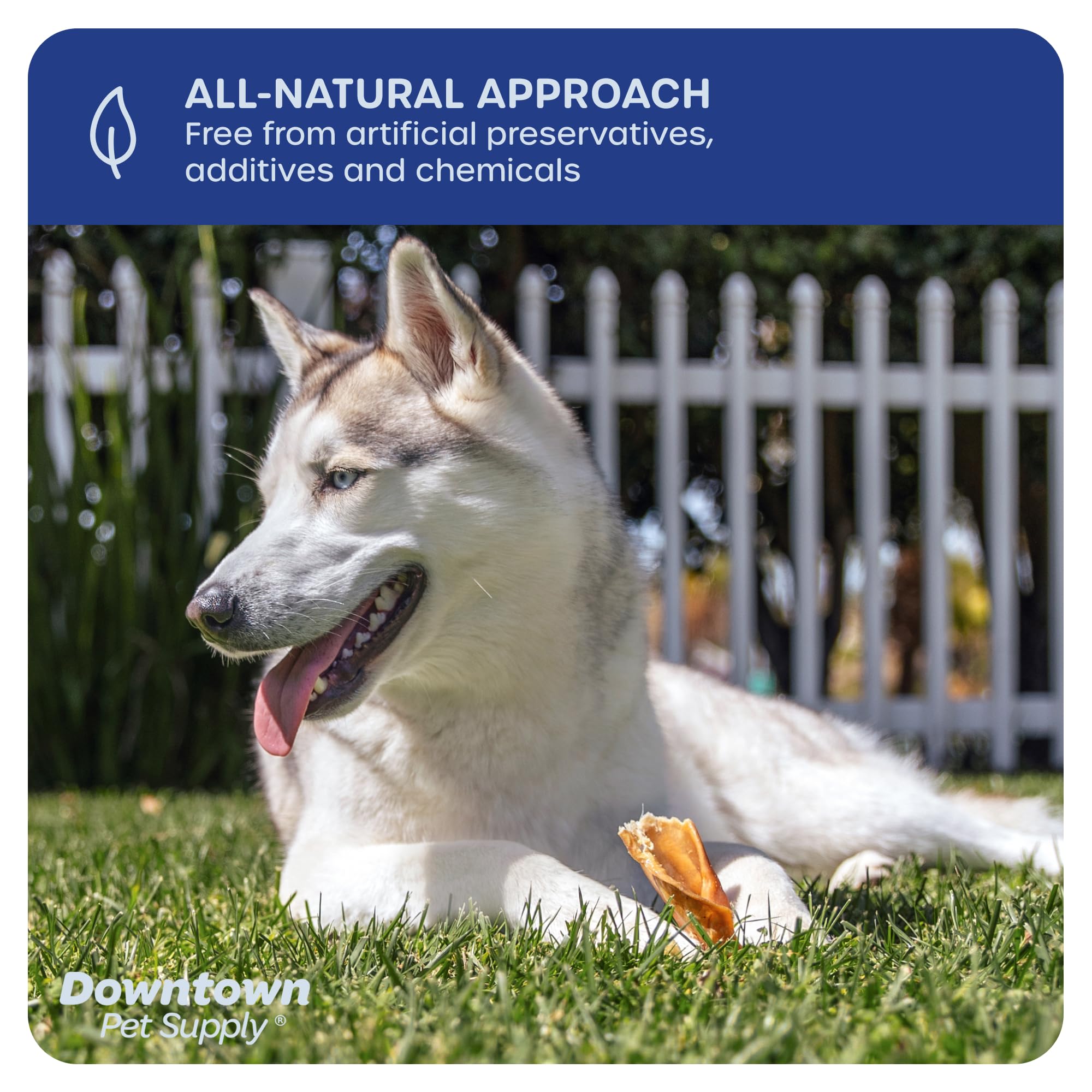 Premium Natural Pig Ears Dog Treats - 5 Pack - All-Natural Chews from South America & Turkey - Perfect for Dental Health & Long-Lasting Chewing Fun