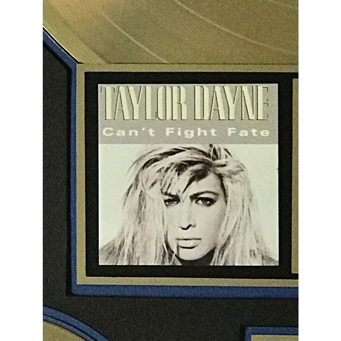Taylor Dayne 