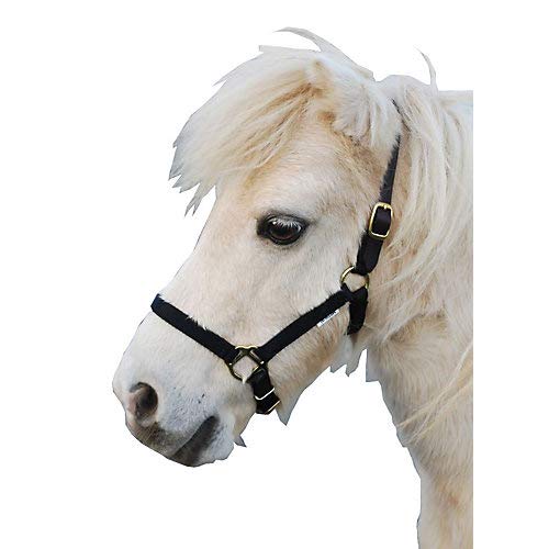 Triple E Nylon Mini Halter with Leather Crown - Perfect for Equestrian Training