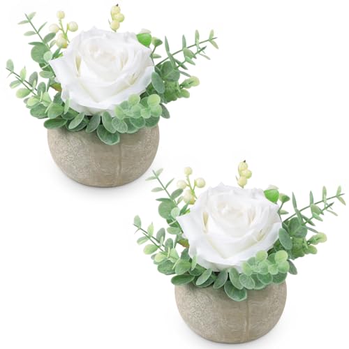 2 Pack White Rose