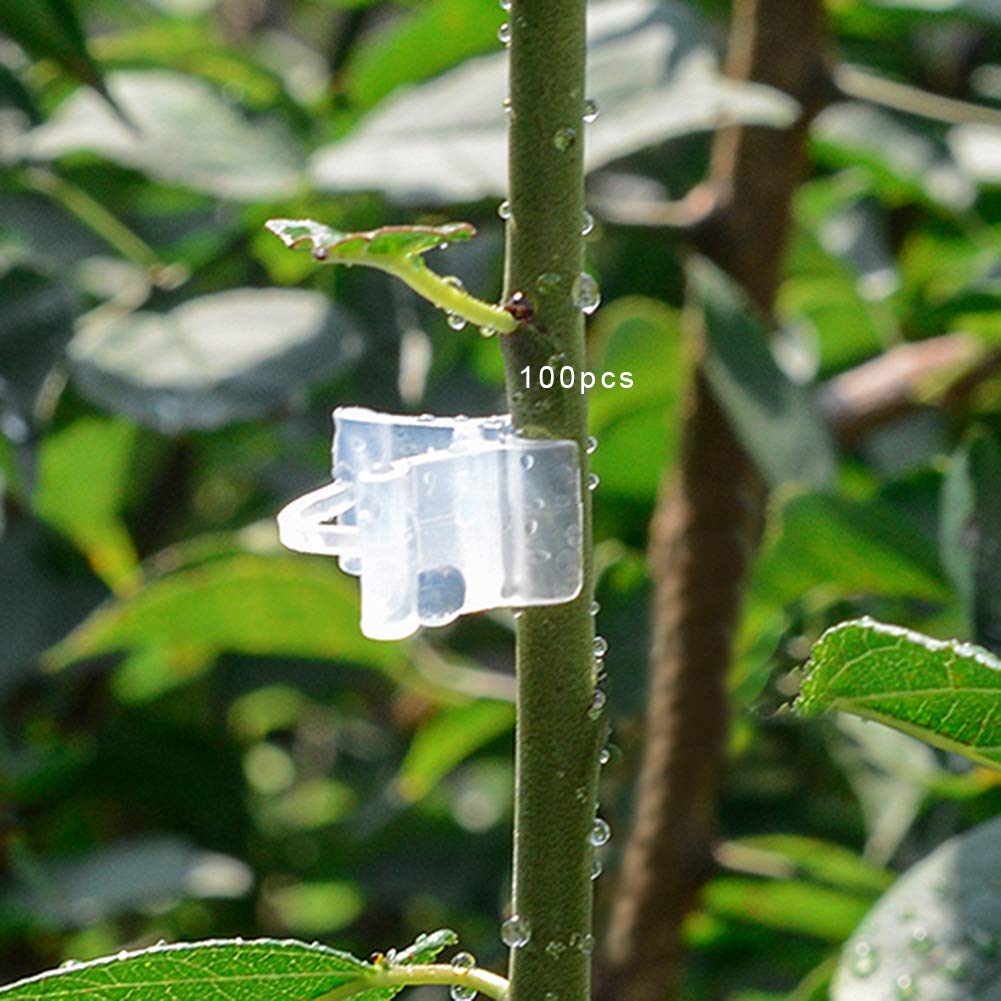 Tomato Plant Support Clips 100pcs - Garden Clips for Vegetables & Fruits - Plant Grafting & Nursery Support