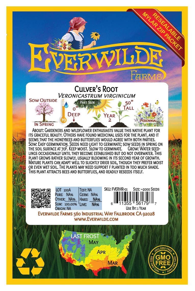 Everwilde Farms - 2000 Culver's Root Native Wildflower Seeds - Gold Vault Seed Packet for Pollinator Gardens & Natural Landscaping