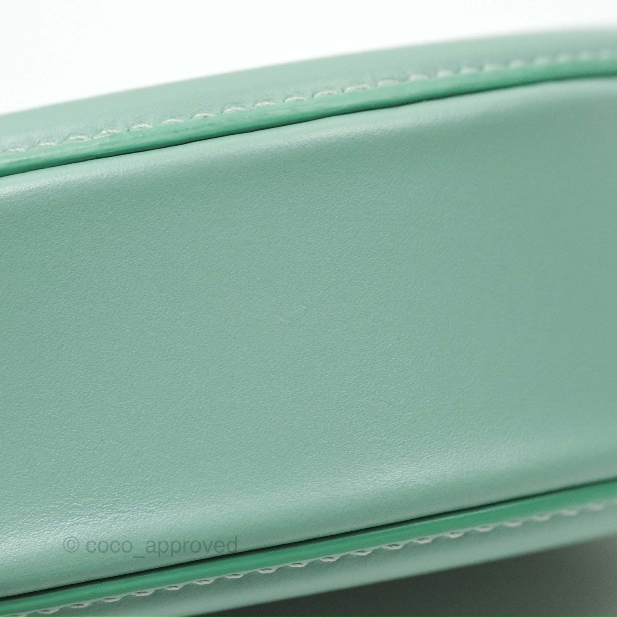 Celine Oval Bag Triomphe in Ice Mint Calfskin Leather - Luxury Crossbody Purse for Women, Perfect for Date Night & Evening Events