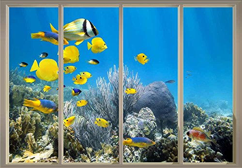 Yellow Fish Swimming