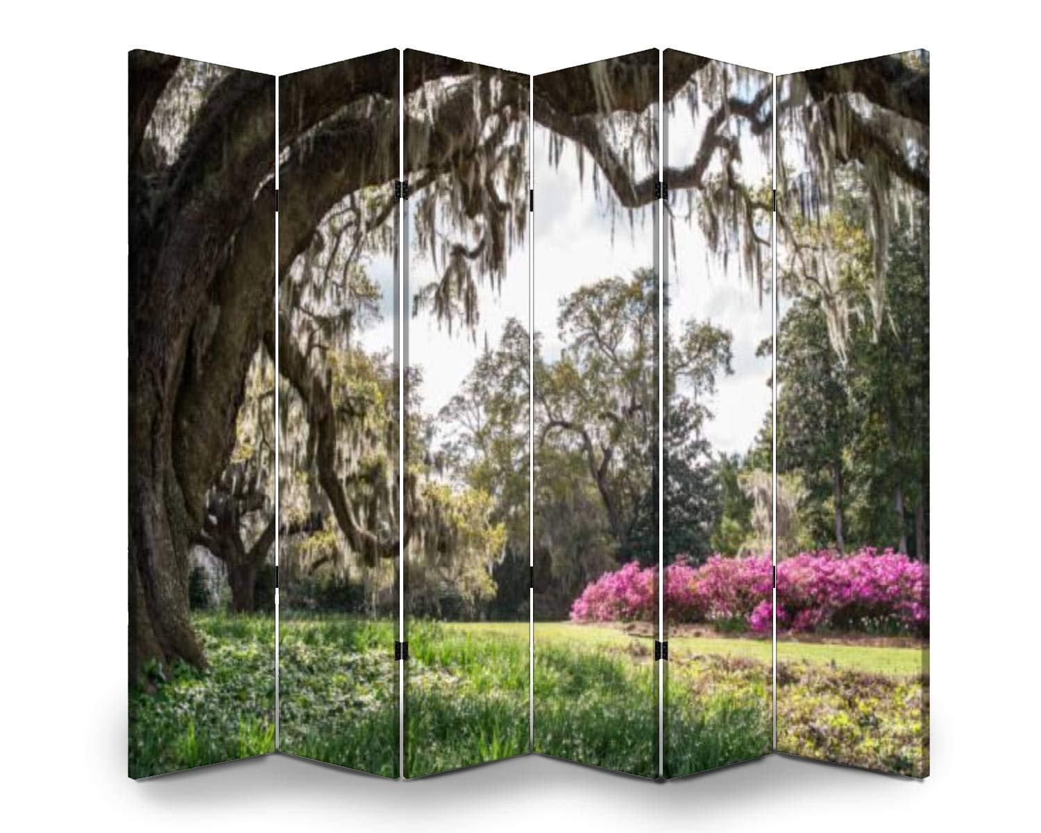 APED DECOR 6-Panel Wooden Room Divider - Ancient Oak Tree Design Folding Privacy Screen, Dual-Sided Canvas Partition for Home Office, Bedroom & Living Room Decor | Indoor Display Shelves & Space Separator