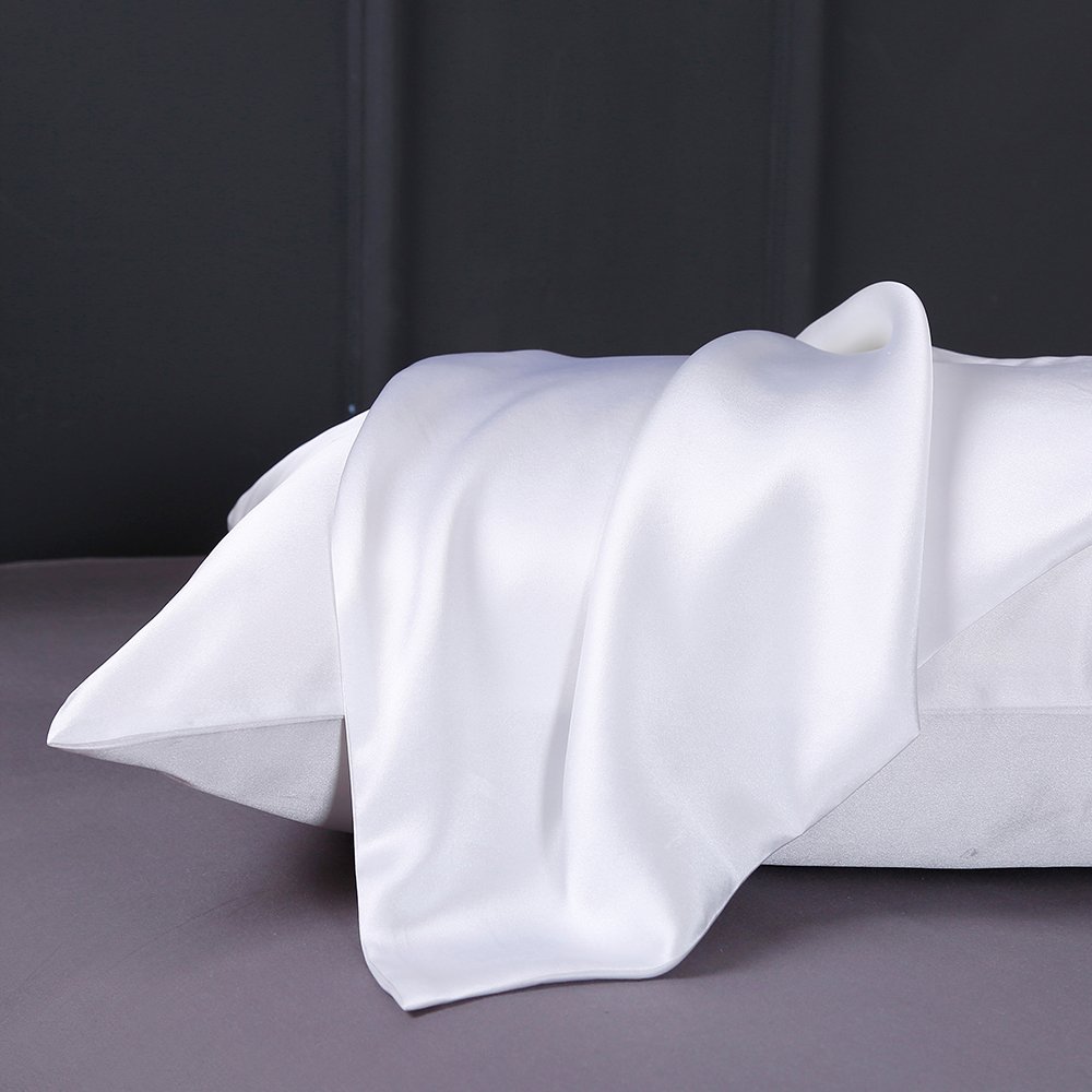Lilysilk 100% Pure Mulberry Silk Pillowcase for Travel - 13