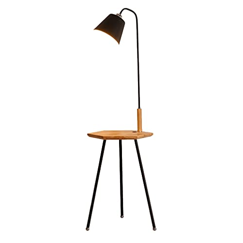 Floor Lamp B