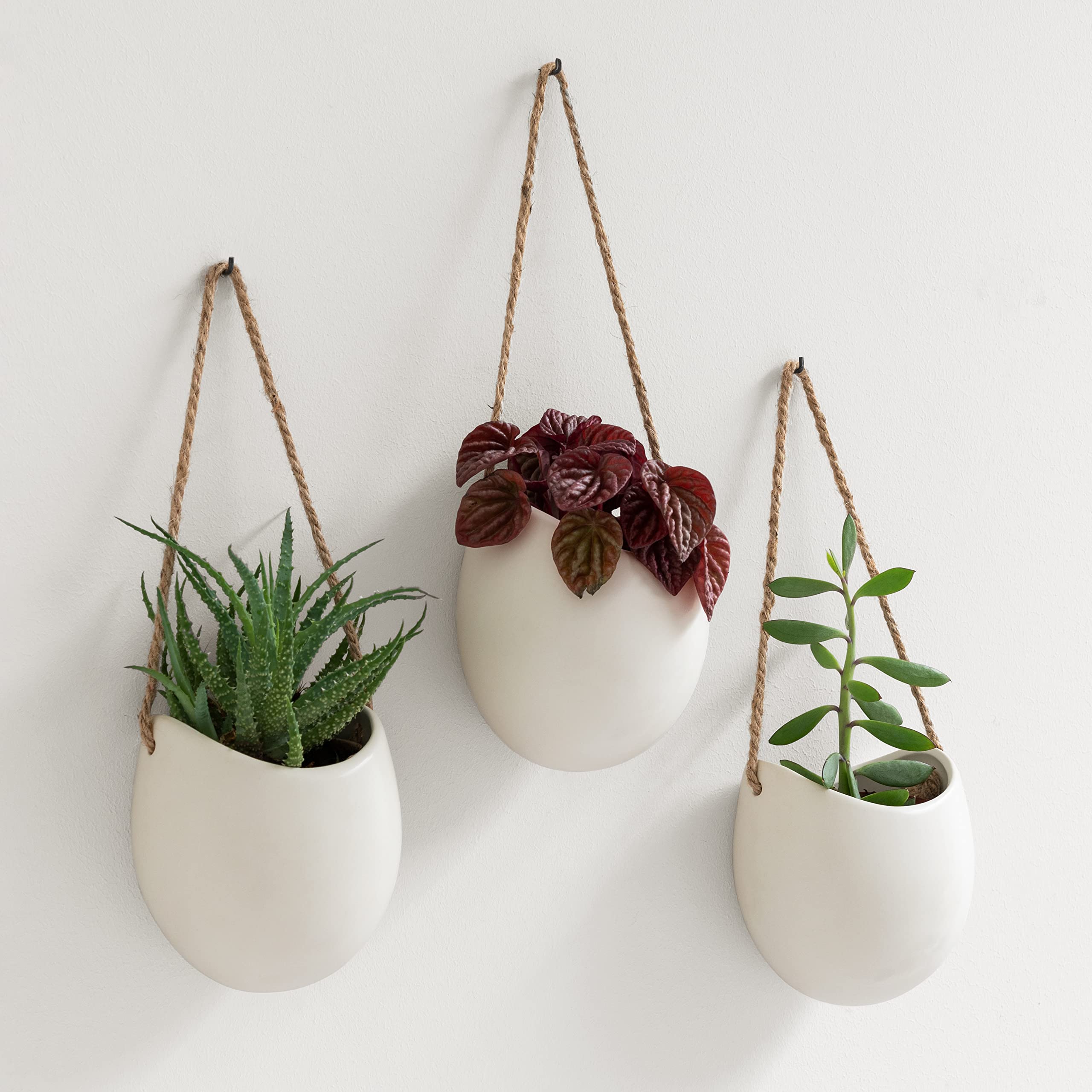 Ellie Hanging Ceramic Wall Planters Set of 3 - Cream Matte Indoor Outdoor Plant Pots for Home, Balcony & Garden Decor - Perfect for Succulents, Herbs and Small Flowers