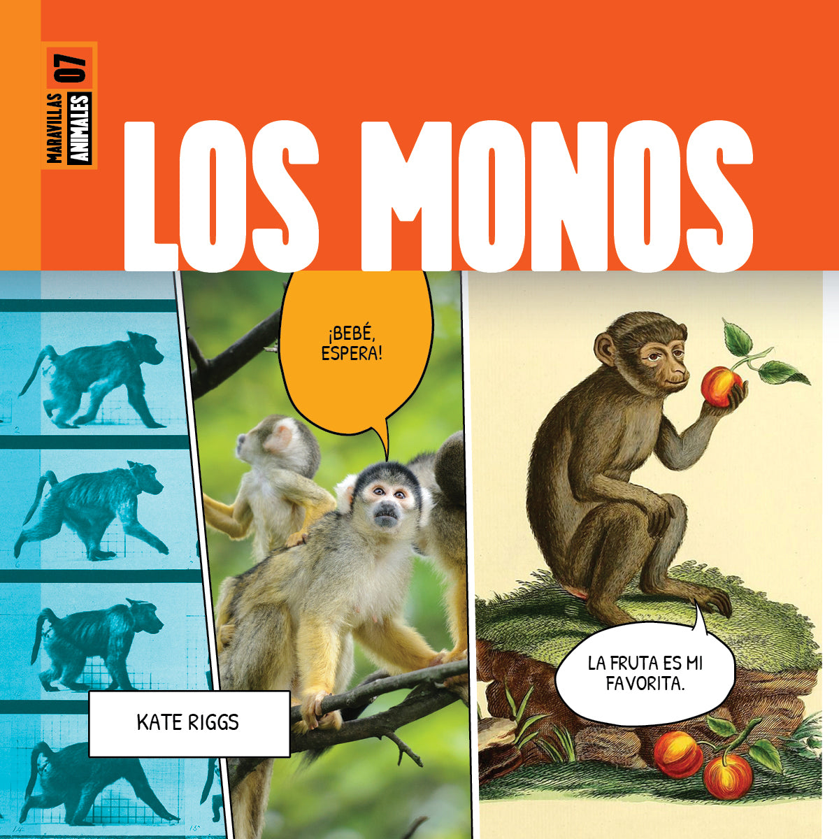 Los Monos 9798889891000 - Premium Quality Apparel for Men & Women | Perfect for Casual Wear, Gym, and Outdoor Activities