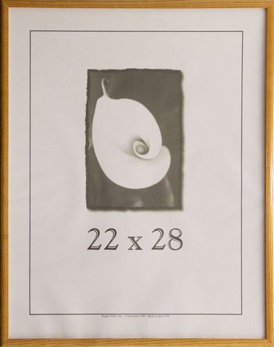 Frame USA Economy Series 22x28 Wood Picture Frames in Honey Finish - Perfect for Home Decor, Office Display & Photo Gifts