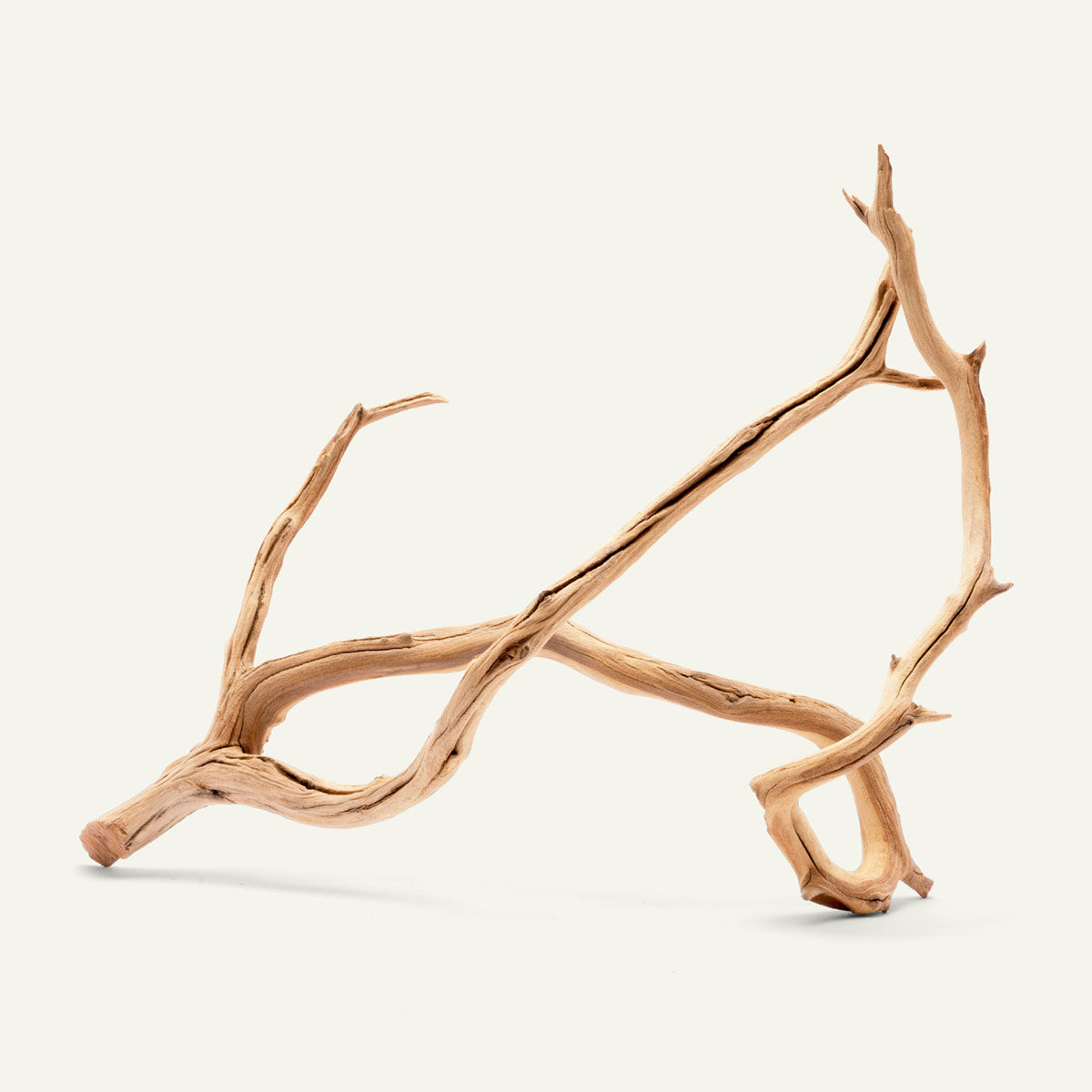 Natural Manzanita Branch Wood for Reptile Terrariums, Aquariums & Home Decor - Durable & Safe for Pets