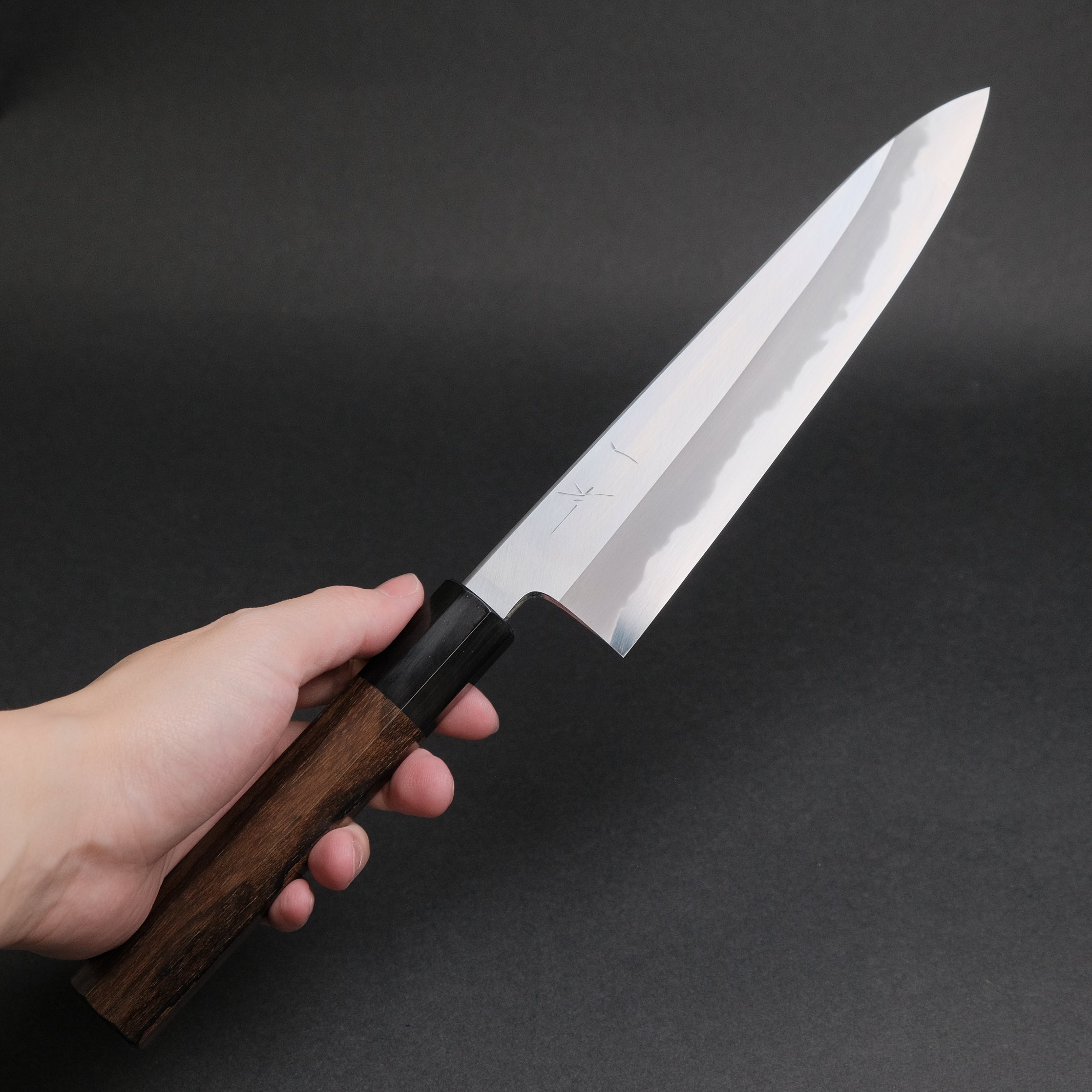 Premium Hitohira Tanaka Kyuzo Blue #1 Steel 210mm Gyuto Chef Knife - Handcrafted Japanese Ziricote Wood Handle - Perfect for Sushi, Meat Cutting & Professional Kitchen Use