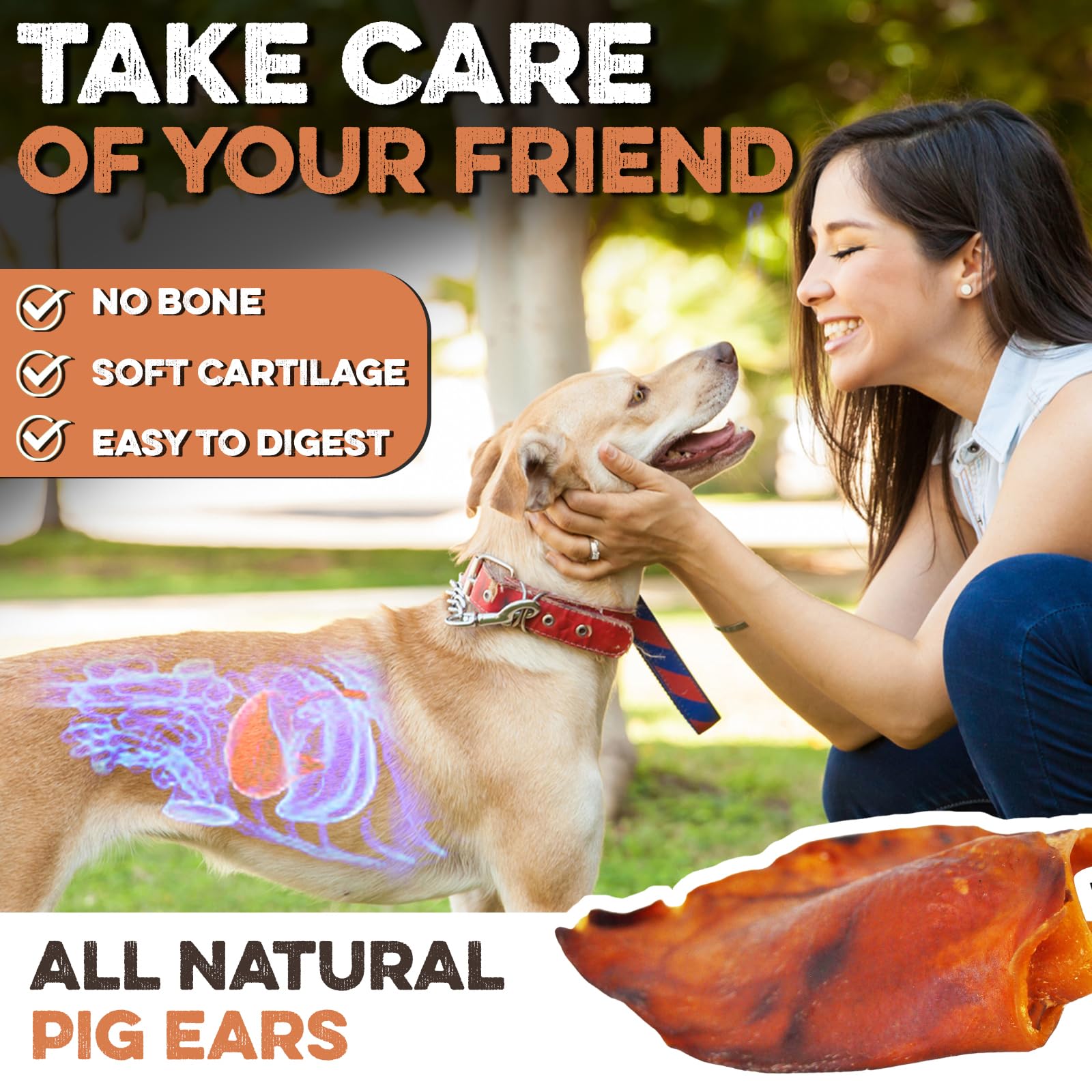 100% Natural Whole Pig Ear Dog Treats - 100 Pack | Thick Cut, Hormone & Chemical Free | Easy to Digest for Aggressive Chewers | Perfect for Small & Large Dogs | Great for Training, Dental Health & Long-Lasting Chewing Fun