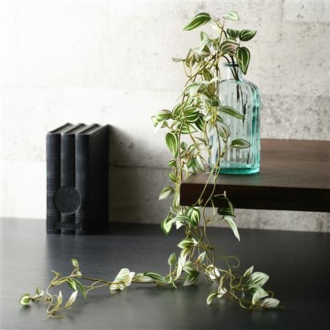 Pothos Pink Climbing Plant - Easy Care Indoor Hanging Vine for Home & Office Decor - Perfect for Shelves, Walls, and Balconies