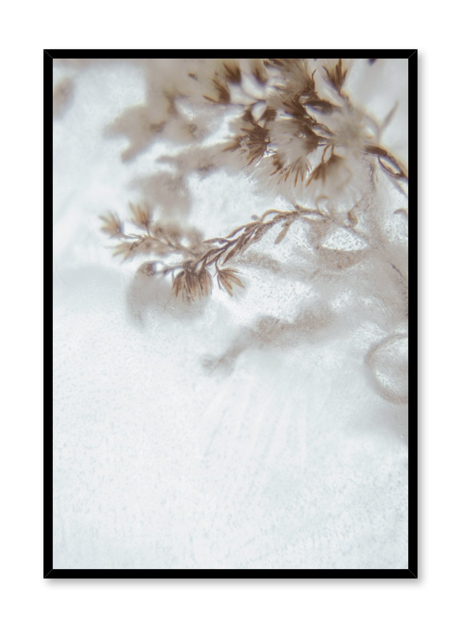 Beautiful Icy Petals Poster - Winter Floral Wall Art Decor for Living Room, Bedroom & Office - Perfect for Home and Office Decoration