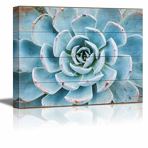 27. Green and Blue Succulent
