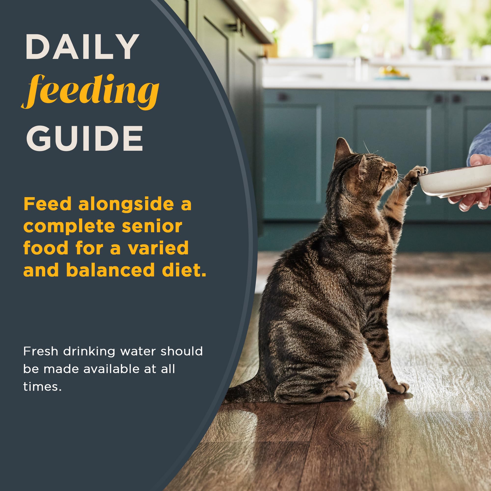 Reveal Natural Grain Free Wet Senior Cat Food - Limited Ingredient Fish Variety Mousse with Flakes for Mature Cats (8 x 2.47 oz) | Easy-to-Digest Nutrition for Picky Senior Eaters, Perfect for Cats with Sensitive Stomachs or Dental Issues