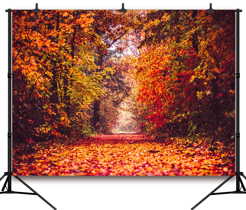 Fall Leaves Forest Autumn Backdrop - Maple Leaves Natural Scenery Photography Background for Seasonal Decor, Birthday Parties, Weddings & Photo Studio Booth Props (Customizable)