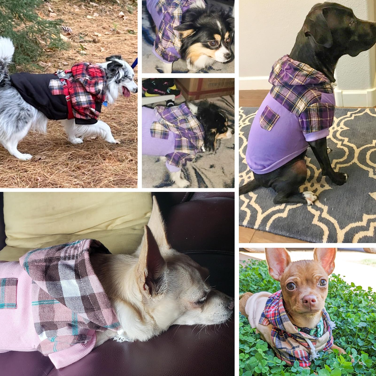 Plaid Dog Hoodie for Small, Medium & Large Dogs - Warm Fleece Sweatshirt with Hat & Leash Hole | Soft Pullover Dog Sweater for Puppies, Bulldogs & All Breeds (XS, S, M, L) | Perfect for Winter Walks, Outdoor Adventures & Photo Shoots