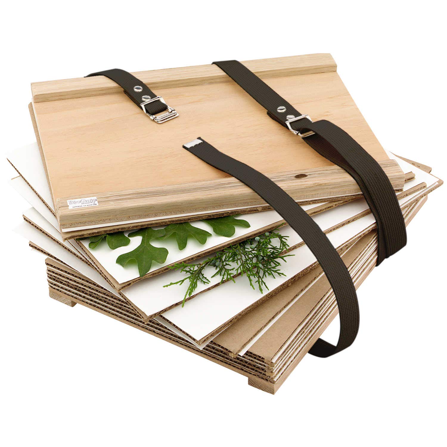 Large Student Plant Press - Botanical Specimen Collection Kit for Science Projects, Herbarium & Nature Study - Perfect for Classroom, Field Trips & Outdoor Exploration