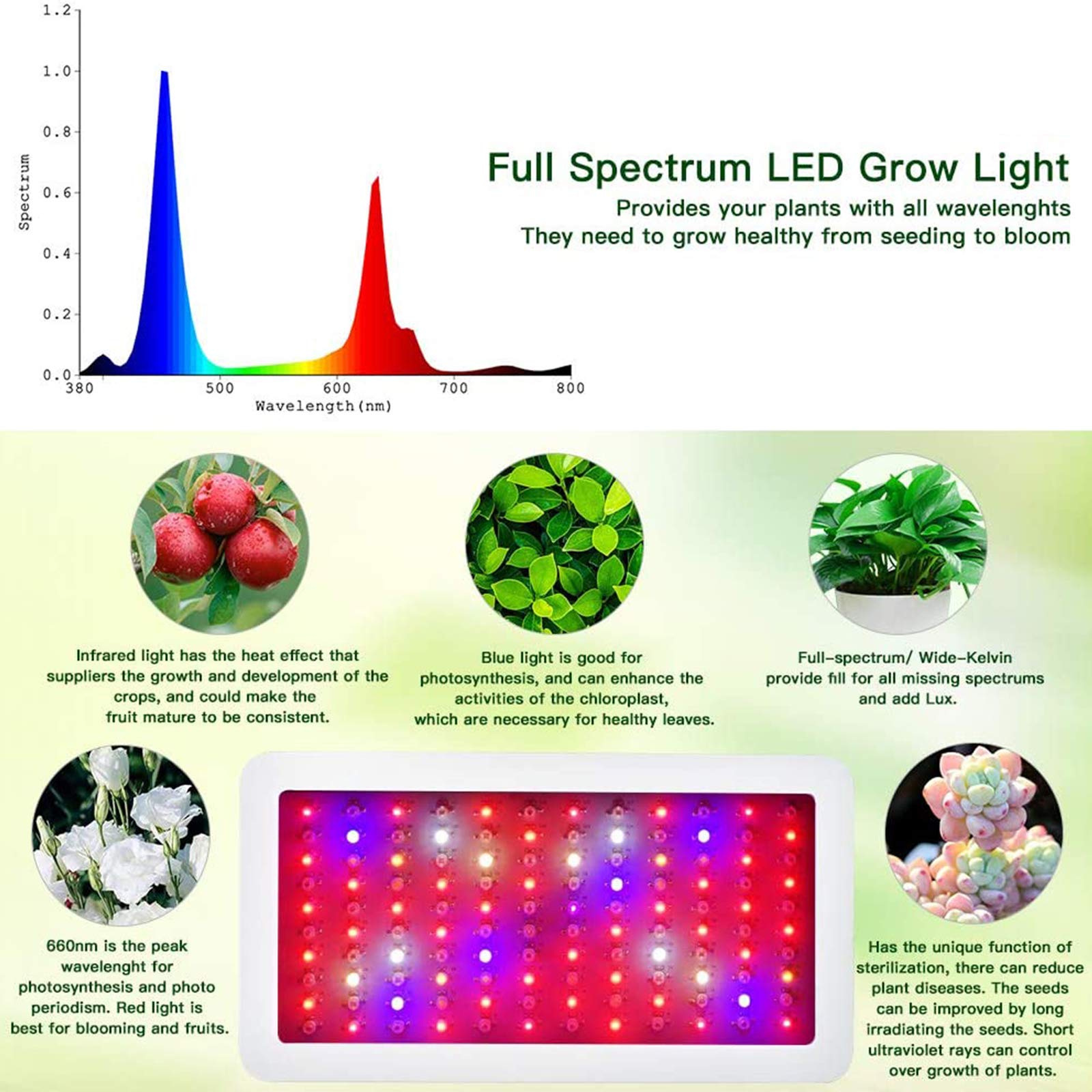 2000W Full Spectrum LED Grow Light for Indoor Plants - Adjustable Double Switch with 312 LEDs, Waterproof & Anti-Leakage - Ideal for Greenhouse, Hydroponic Systems, Veg & Flower Growth (Perfect for Tomatoes, Herbs & Cannabis)