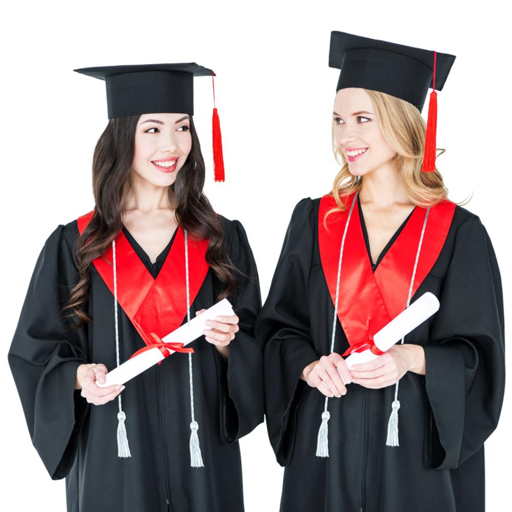 2025 Graduation Honor Cords - Light Blue & White Academic Achievement Cords with Tassel | Perfect for High School & College Graduation Ceremonies, Commencement Decorations & Student Recognition