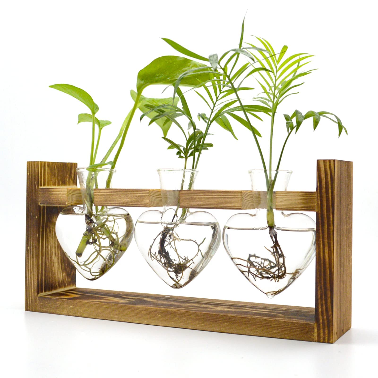 Air Plant Terrarium with Wooden Stand - Heart Shaped Glass Vase for Plant Propagation | Kawaii Succulent Display & Hydroponic Garden Decor | Perfect Gift for Plant Lovers, Home, Office & Wedding Decorations | Ideal for Indoor Gardening, Desk Decor and Housewarming Gifts