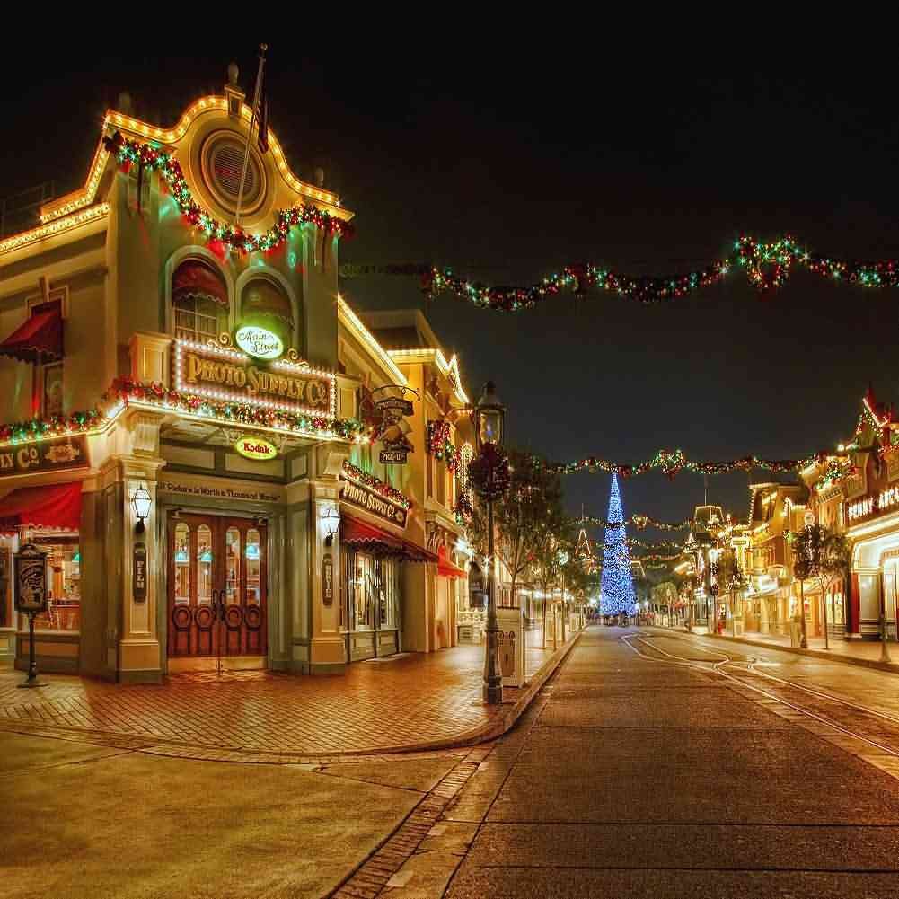 10'x10' Christmas Street Photography Backdrop - Road Theme for Holiday Photos