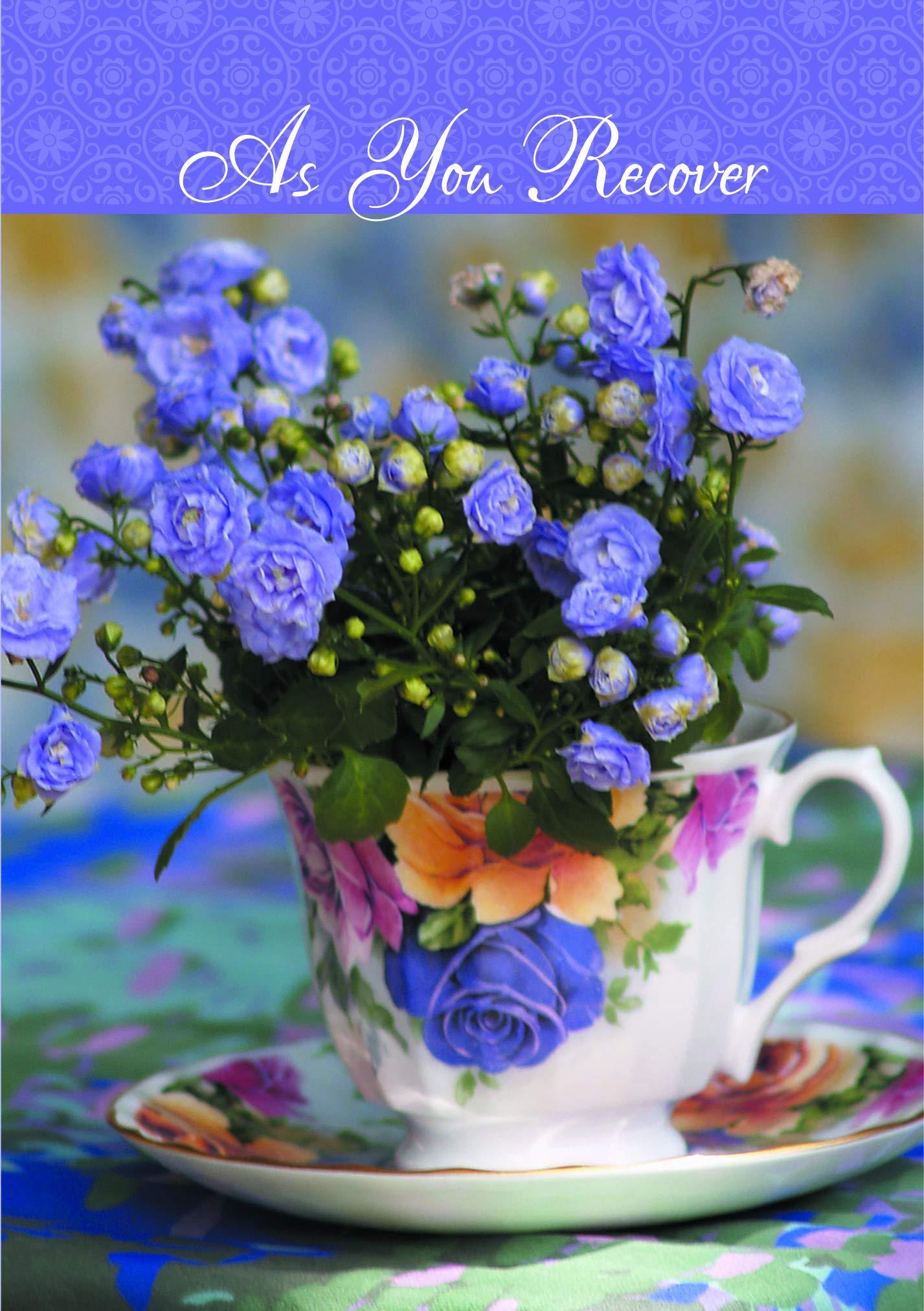 Get Well Soon Greeting Cards - Box of 12 Joyful Noise Designs - Perfect for Hospital Visits, Recovery Gifts & Cheering Up Loved Ones