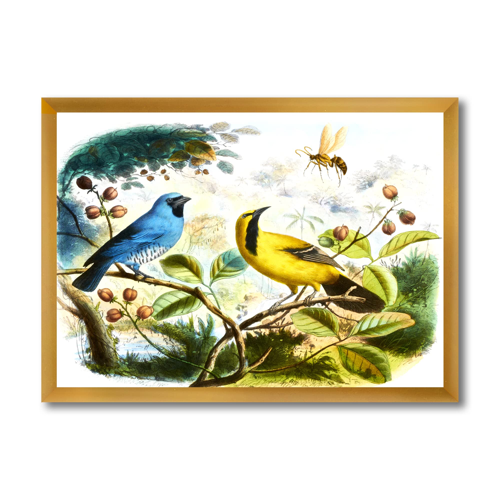 DesignQ Blue and Yellow Bird In The Wild Traditional Framed Wall Art - Nature Inspired Home Decor for Living Room, Bedroom & Office