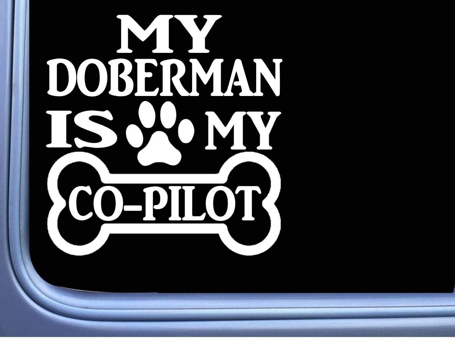 My Doberman is My Copilot - 6 Inch Car Sticker Decal AS1169 - Durable Vinyl Decal for Cars, Trucks, Laptops & Windows - Perfect for Pet Lovers & Dog Owners