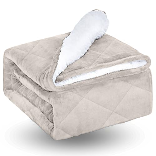 Beige (Sherpa)