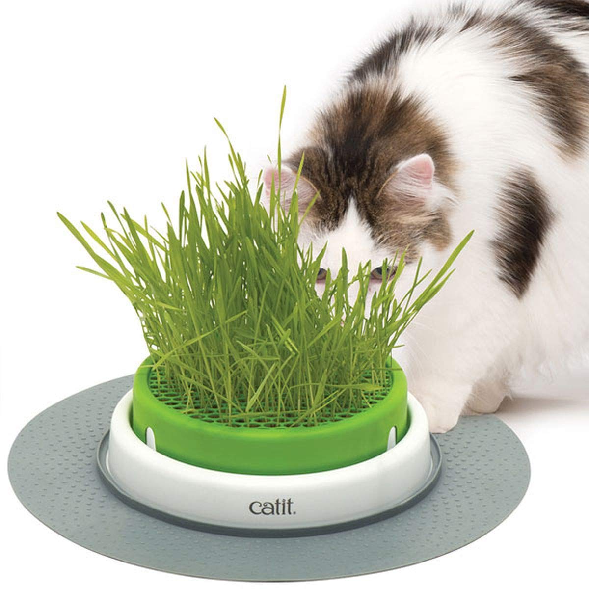 Catit Senses 2.0 Cat Grass Planter Kit with Interactive Cat Toys - Indoor Cat Enrichment Activity for Healthy Digestion & Play