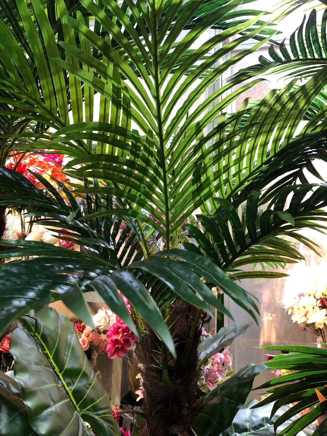 AMERIQUE Realistic 6ft Artificial Tropical Phoenix Palm Tree with 15 Large Leaves - Includes Nursery Pot, Feel Real Technology - Perfect for Home Decor, Office, Patio & Indoor Greenery