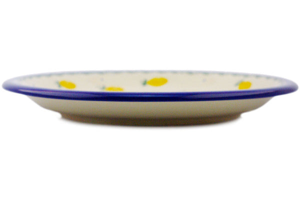 10-Piece Dinner Plate Set - D457 - Elegant Porcelain Plates for Dining, Entertaining & Everyday Use