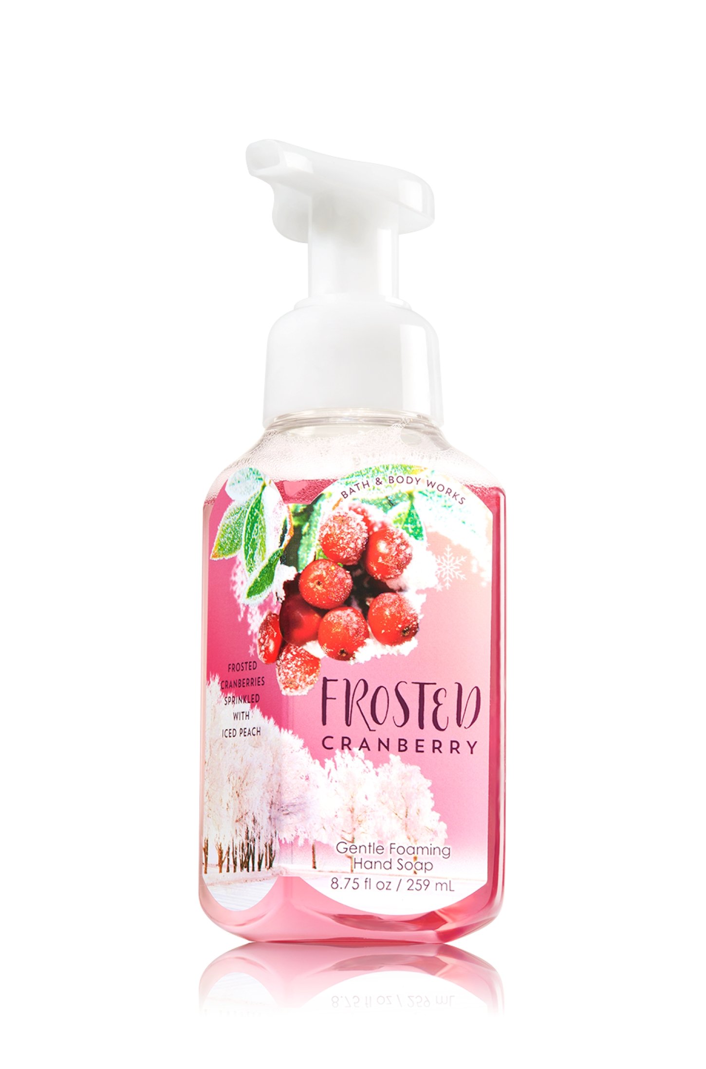 Frosted Cranberry Gentle Foaming Hand Soap - Moisturizing & Antibacterial - Perfect for Kitchen, Bathroom & Office Use