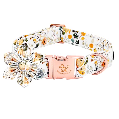 Floral Spring